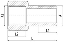 Extension en laiton mâle et femelle HS330-005