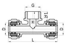  Té mâle C×MI, HS210-014